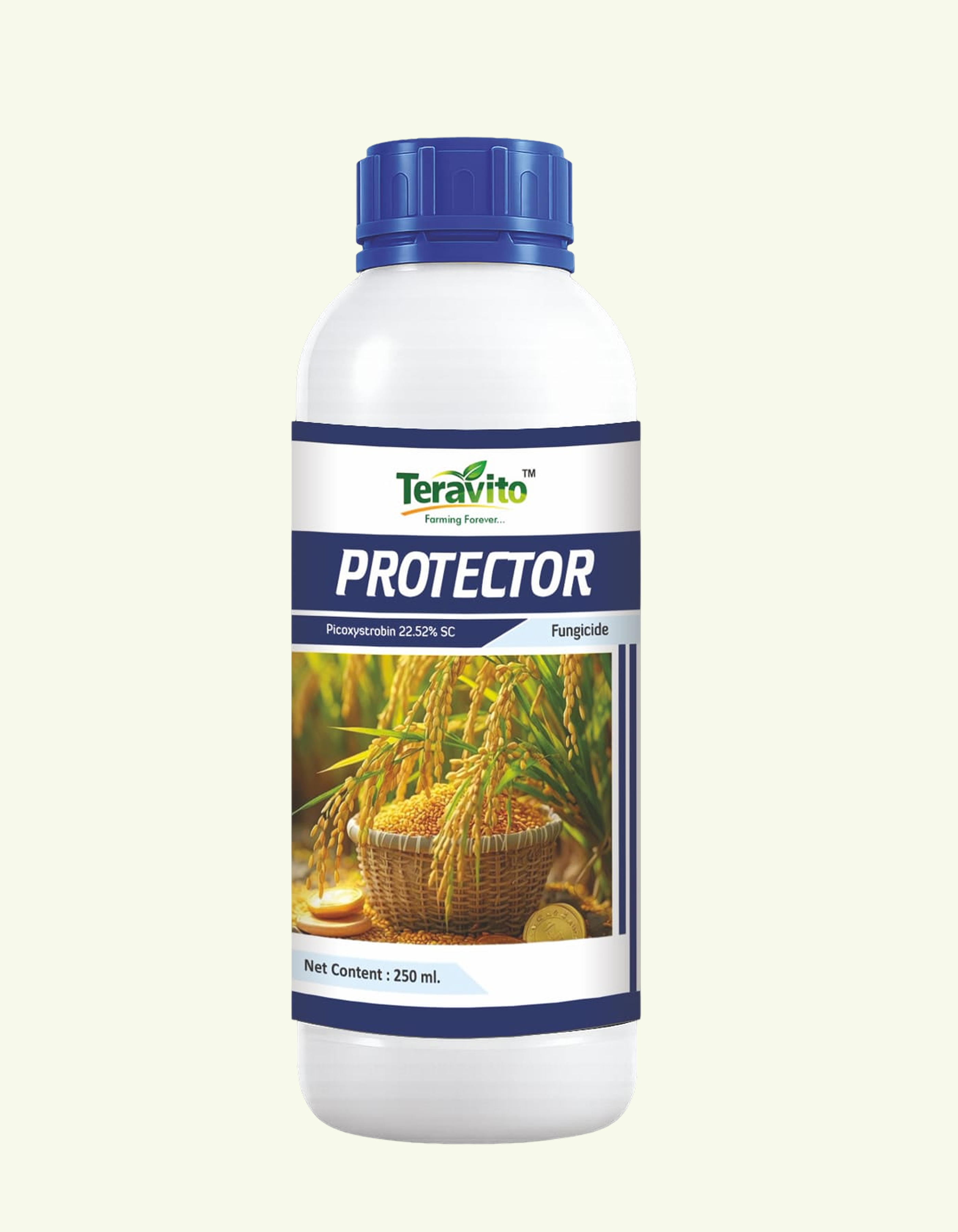 PROTECTOR